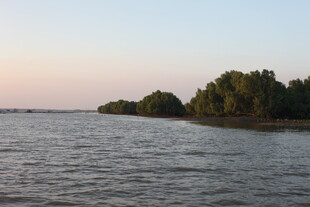 黄昏下的宁静河岸风光