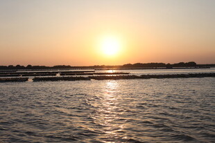 夕阳下波光粼粼的水面