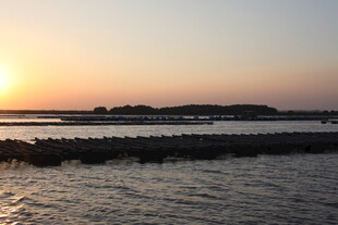 夕阳下的宁静水域景观