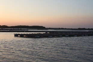 夕阳下的宁静水域景观