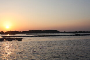夕阳下的宁静水面景观