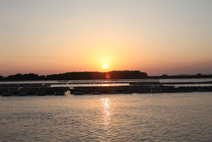 夕阳下的宁静水面景观