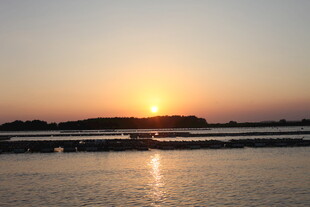 夕阳下的宁静水面景观