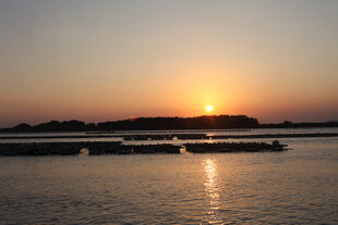 夕阳下的宁静水面景观