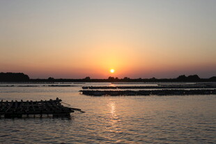 夕阳下的宁静水域风光