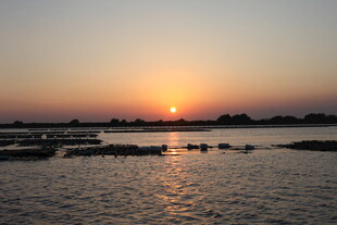 夕阳下的宁静水面景观