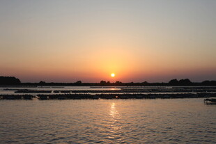 夕阳下的宁静水面美景