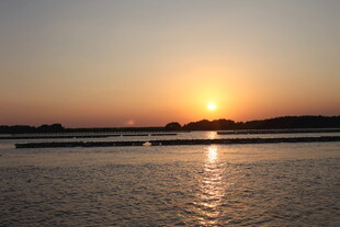 夕阳下的宁静水面美景