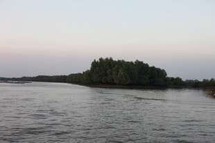 河畔暮色中的葱郁岛屿