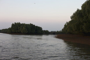 河畔暮色中的宁静水域