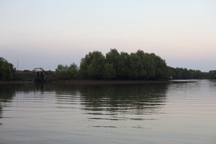 宁静湖畔的树木倒影