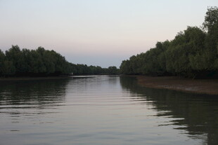 宁静河畔的黄昏景色