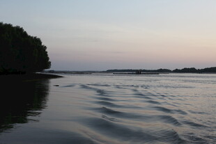 黄昏下宁静的水面与树林