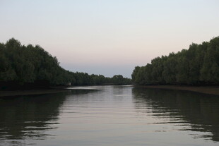 宁静河畔的黄昏景色