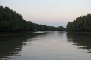 宁静河畔的自然美景