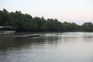 宁静河畔的自然景致