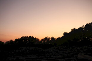 日落时分的山林剪影