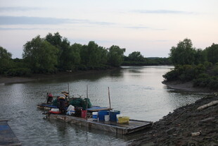 河上作业的船只