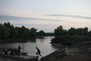 河边暮色中的劳作场景