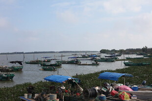 海滨渔村热闹的码头景象