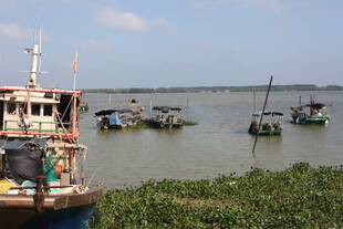 河畔停泊的多彩船只