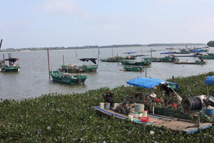 水乡停泊的渔船与岸边景致