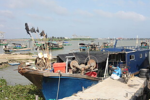 渔港码头的渔船与渔民