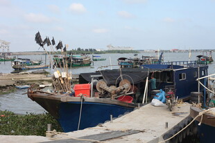 渔港码头停泊的渔船