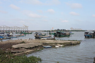 宁静港湾中的停泊船只