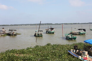 水乡渔船停泊景象