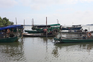 水上停泊的多彩船只