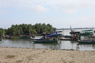 河畔停泊的多彩船只