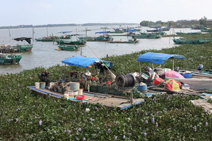 海边渔村休闲场景