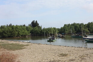 河畔船只与葱郁树林景观