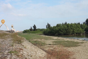 户外开阔风景带彩色气球