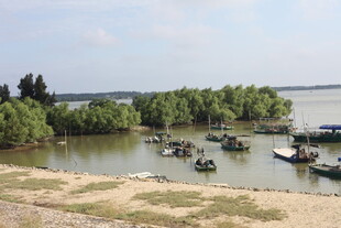 湖畔停泊的船只与葱郁岸景