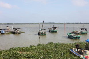 湖畔停泊的多彩渔船