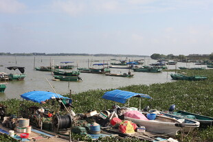水上热闹的船只交易场景