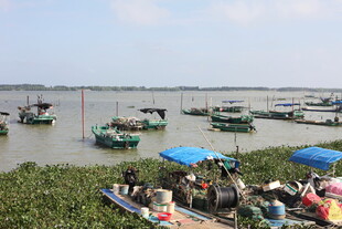 渔村景象岸边人群与水上船只