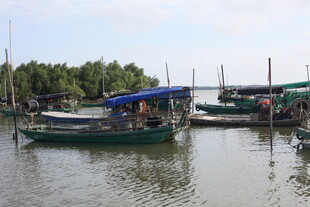 水上停泊的多艘船只