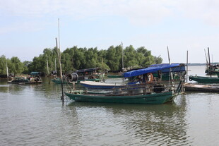 水上停泊的多艘船只