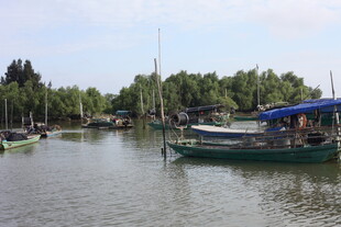 宁静水乡停泊的船只