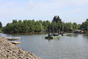 宁静河畔停泊的几艘小船