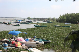 湖畔停泊船只与休闲场景