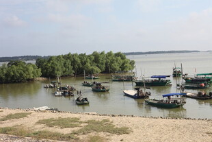 河畔停泊的众多船只