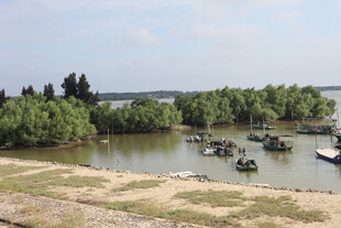 河畔停泊船只的宁静风光