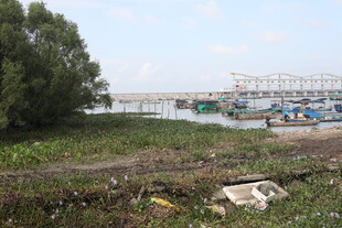 河边景象岸边停泊多艘船只