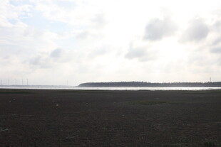 广袤黑土地与远处云景