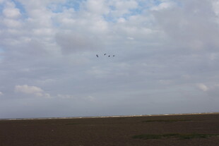 天空中飞翔的编队飞机