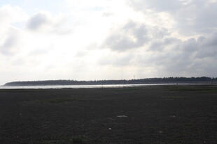 广阔田野与天际线景观